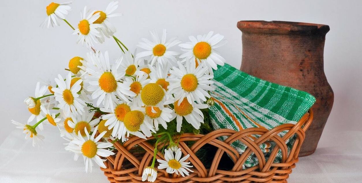kumaha carana ngadamel toner raray tina kembang chamomile